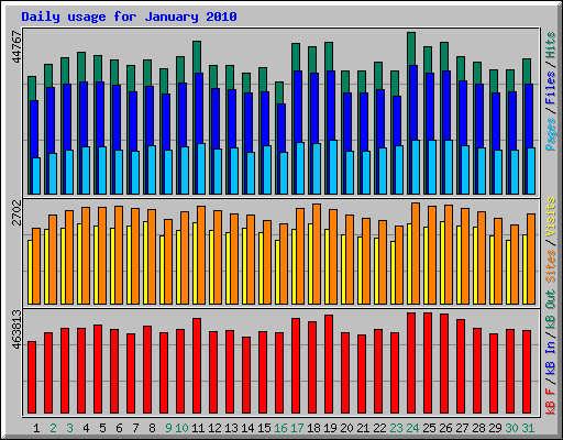 Daily usage for January 2010