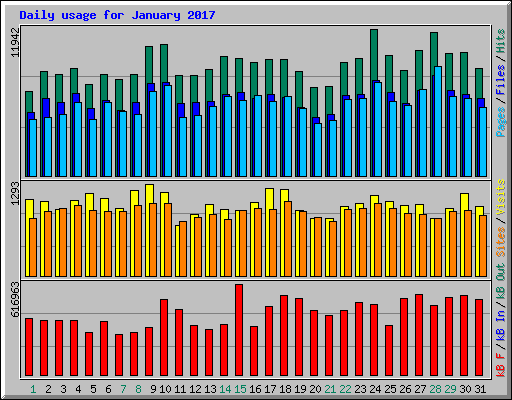 Daily usage for January 2017