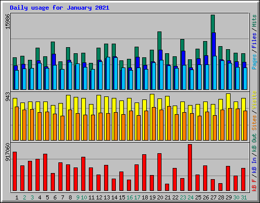 Daily usage for January 2021