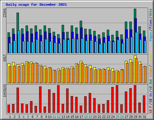 Daily usage for December 2021