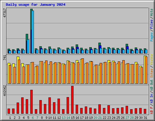 Daily usage for January 2024