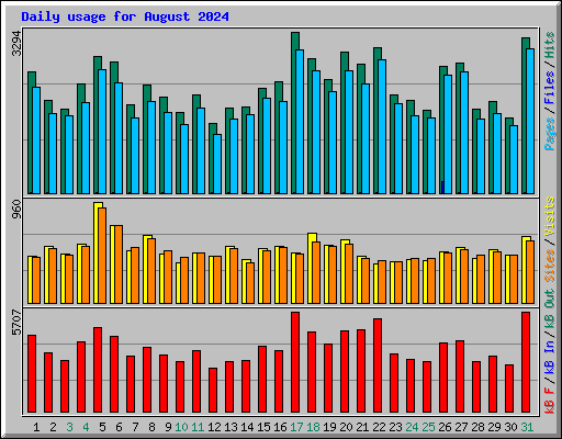 Daily usage for August 2024
