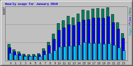 Hourly usage for January 2010