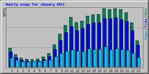 Hourly usage for January 2011