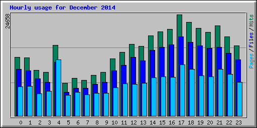Hourly usage for December 2014