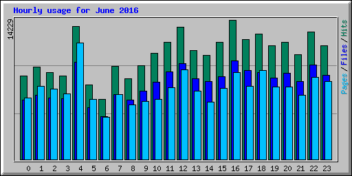 Hourly usage for June 2016