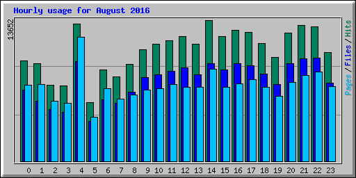 Hourly usage for August 2016