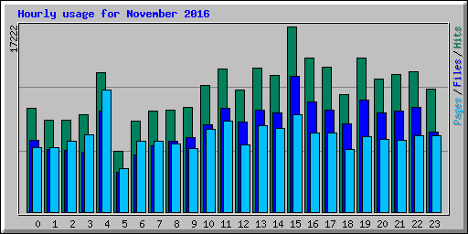 Hourly usage for November 2016