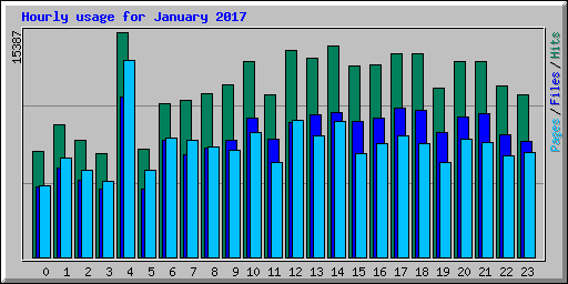 Hourly usage for January 2017