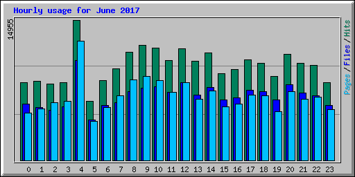 Hourly usage for June 2017