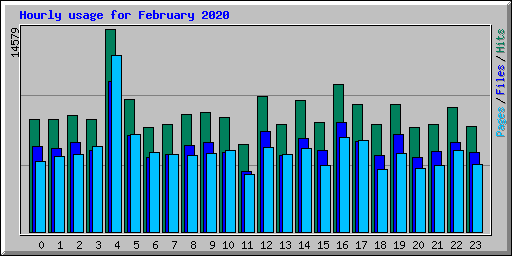 Hourly usage for February 2020