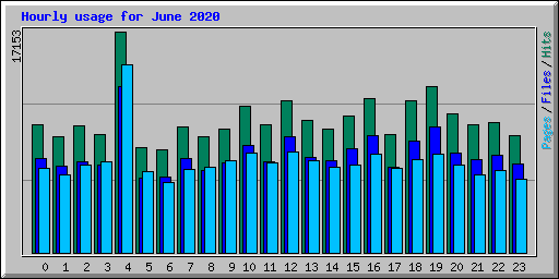 Hourly usage for June 2020