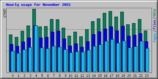 Hourly usage for November 2021