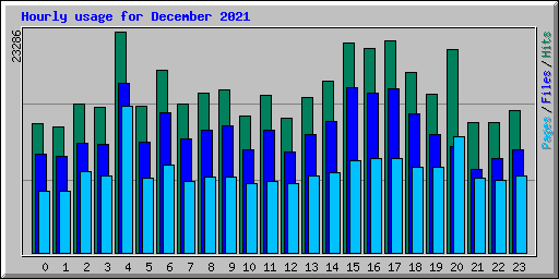 Hourly usage for December 2021