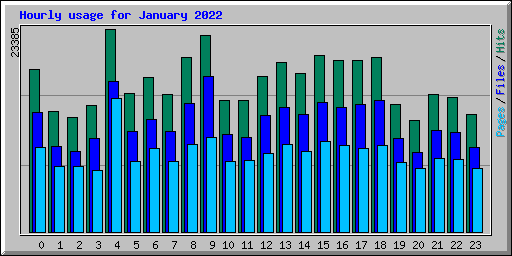 Hourly usage for January 2022