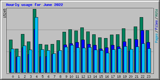 Hourly usage for June 2022