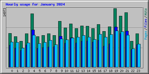 Hourly usage for January 2024