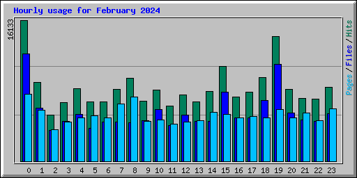 Hourly usage for February 2024