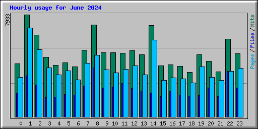 Hourly usage for June 2024