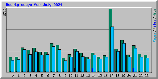 Hourly usage for July 2024