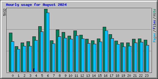 Hourly usage for August 2024