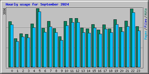 Hourly usage for September 2024