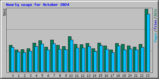 Hourly usage for October 2024