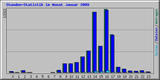 Stunden-Statistik im Monat Januar 2009