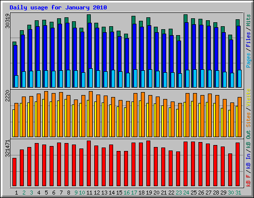 Daily usage for January 2010