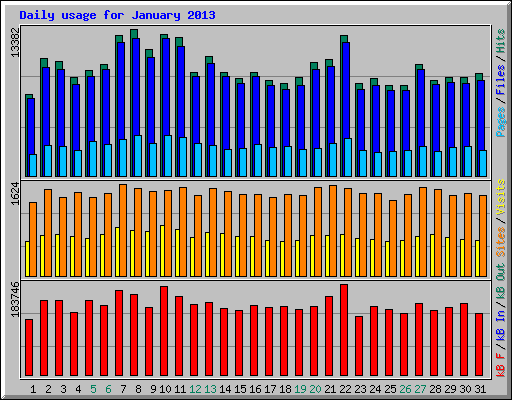Daily usage for January 2013