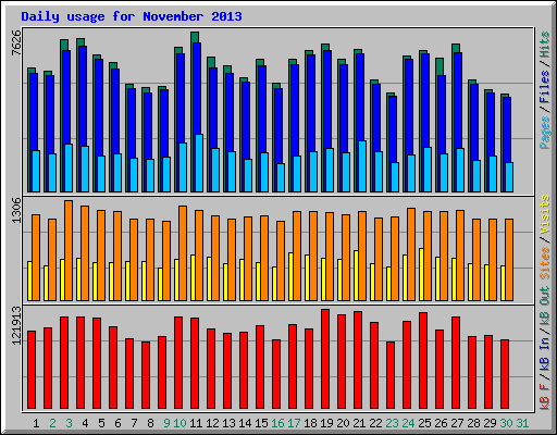 Daily usage for November 2013