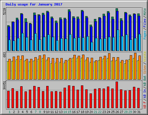 Daily usage for January 2017