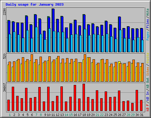 Daily usage for January 2023