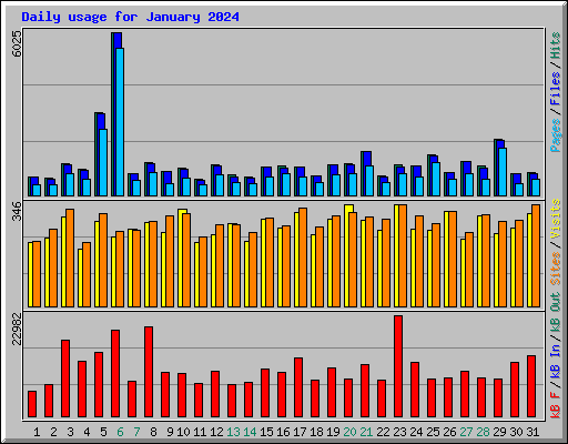 Daily usage for January 2024