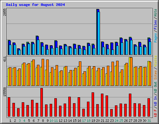 Daily usage for August 2024