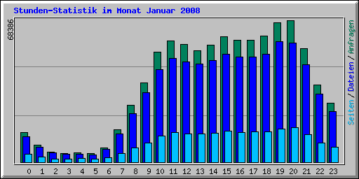 Stunden-Statistik im Monat Januar 2008