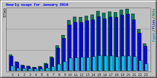 Hourly usage for January 2010