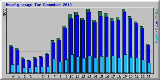 Hourly usage for December 2012