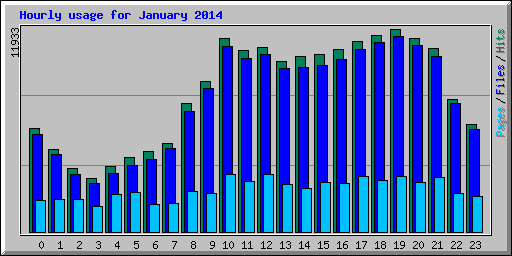 Hourly usage for January 2014