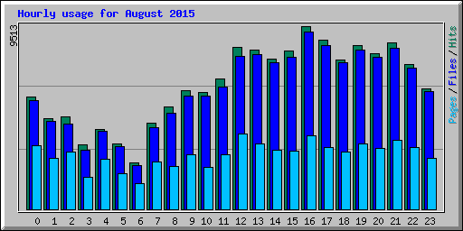 Hourly usage for August 2015