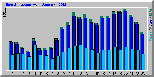 Hourly usage for January 2016