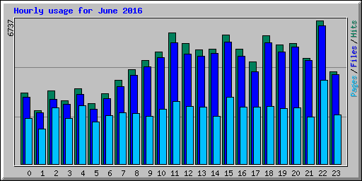 Hourly usage for June 2016