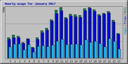 Hourly usage for January 2017
