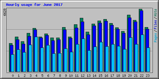 Hourly usage for June 2017