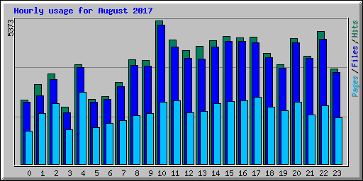 Hourly usage for August 2017