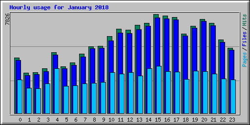 Hourly usage for January 2018