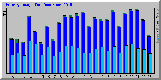 Hourly usage for December 2018