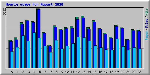 Hourly usage for August 2020