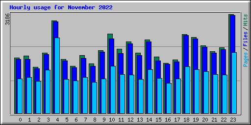Hourly usage for November 2022