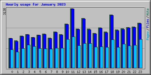 Hourly usage for January 2023